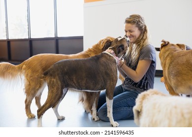 Dog Daycare Insurance on the job