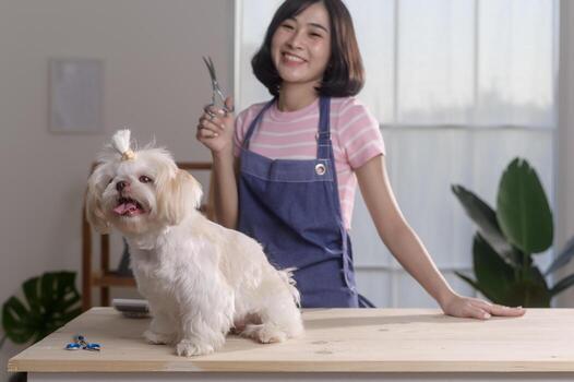 Pet Groomer Insurance - Travelers commercial insurance coverage