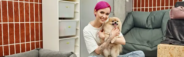 Pet Sitter & Dog Walker Insurance - Travelers commercial insurance coverage