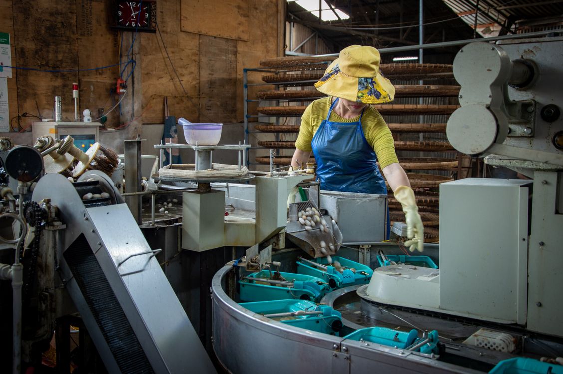 Food manufacturing facility processing line