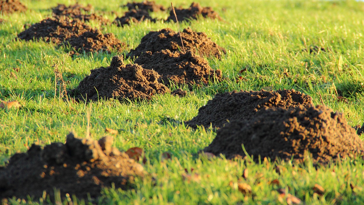 Landscaper Insurance on the job
